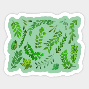 VARIOUS GREEN LEAVES PATTERN Sticker
